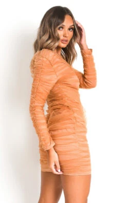 Jax Ruched Mesh Mini Dress In Camel