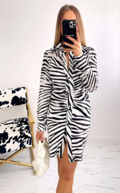 Jill Printed Button Down Shirt Dress In Zebra